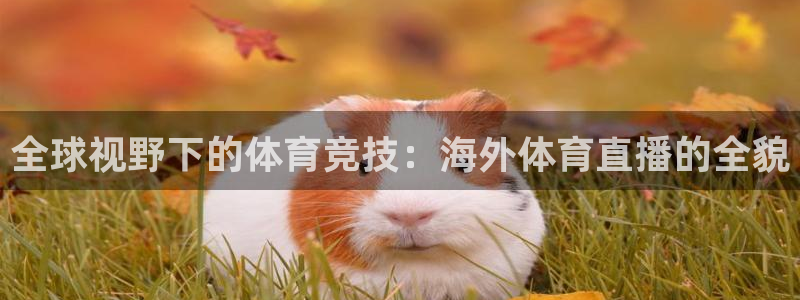 足球直播在线观看免费极速体育：全球视野下的体育竞技：海外体育直播的全貌