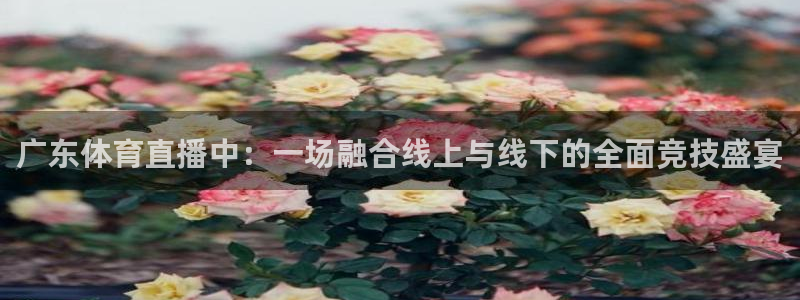 极速体育斯诺克比赛直播：广东体育直播中：一场融合线上与线下的全面竞技盛宴