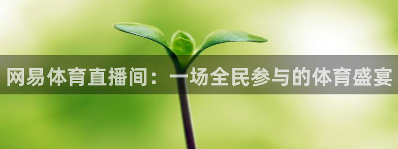 极速体育免费观看：网易体育直播间：一场全民参与的体育盛宴