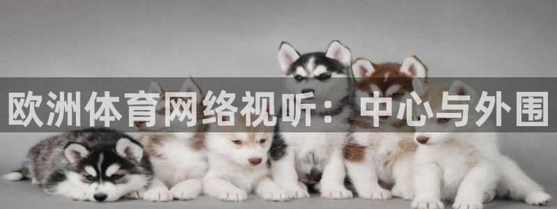nba视频直播 极速体育：欧洲体育网络视听：中心与外围