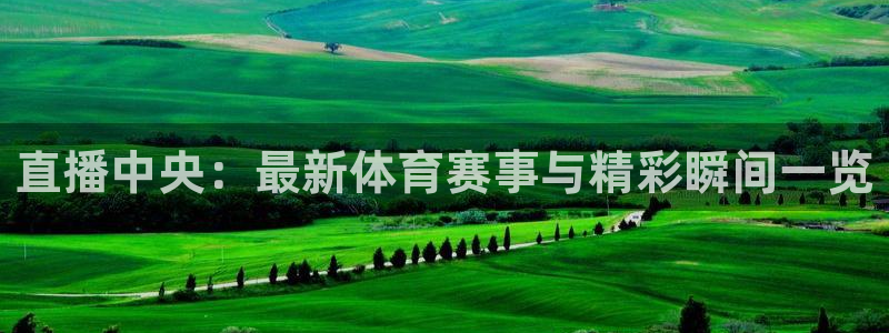 极速直播nba直播：直播中央：最新体育赛事与精彩瞬间一览